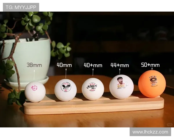 乒乓球新手必看灵活性训练技巧与入门指导全解析