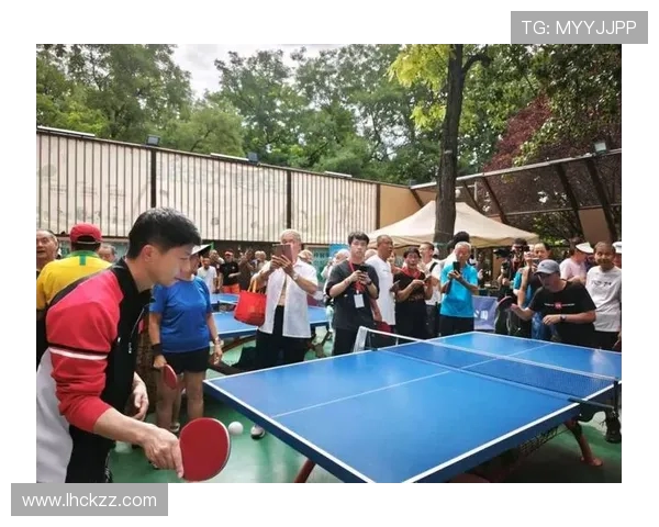 乒乓球运动的魅力与发展探析从国球精神到全民健身新风尚
